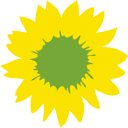 Sonnenblume